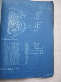 云南萝芙木研究的材料科学价值探析——基于档案文献与实物标本的整理研究