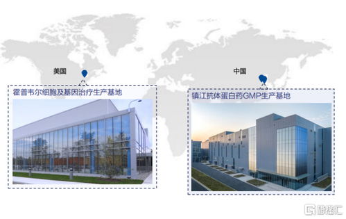 金斯瑞生物科技 营收大增81.9%，经调净利增速超5倍，展现卓越盈利韧性